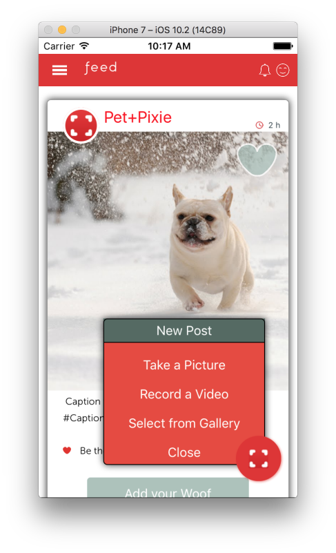 Pet Pixie new post dialog