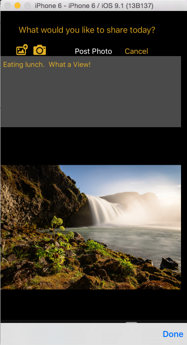 Viktre photo post with caption