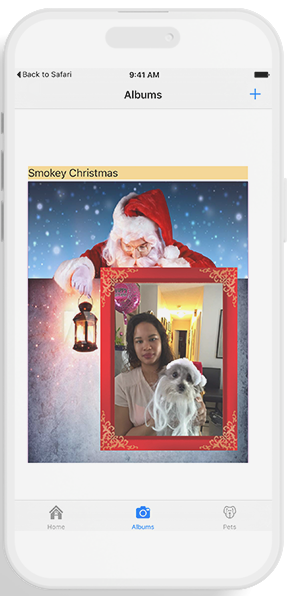 Waggy Smokey Christmas