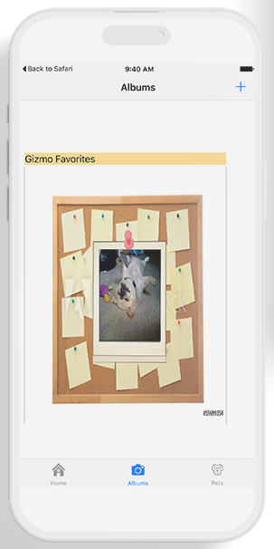 Waggy Gizmo Favorites
