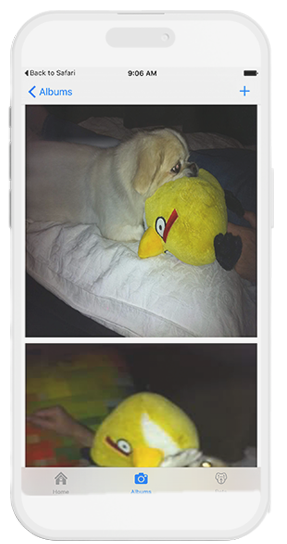Angry Bird series