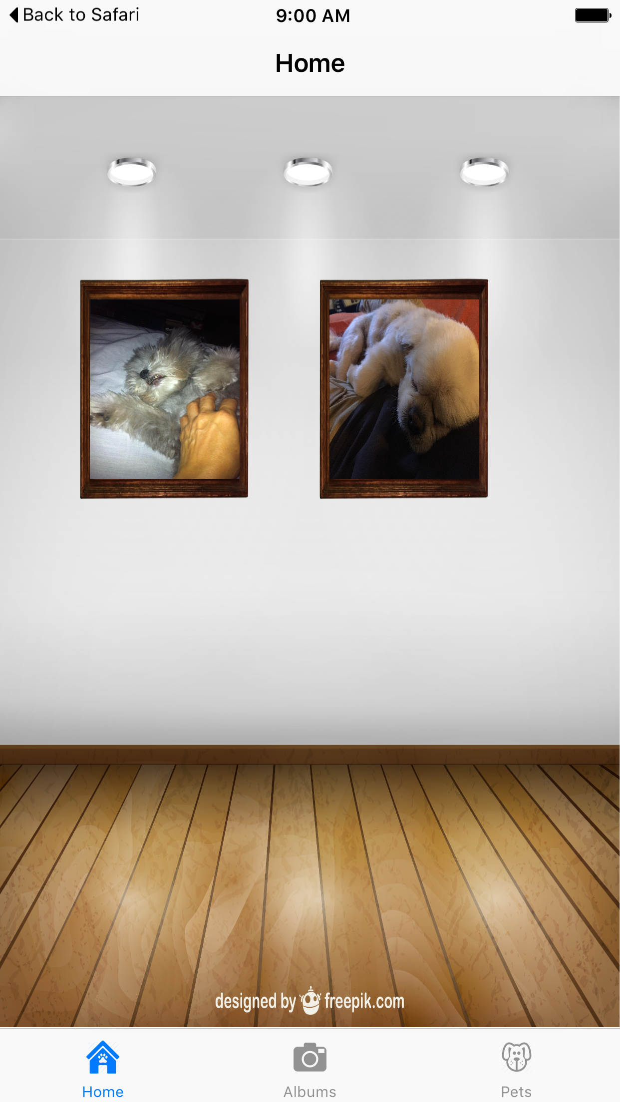 Waggy home gallery