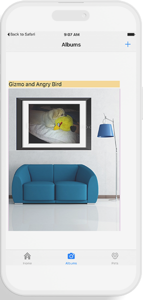 Gizmo and Angry Bird living room